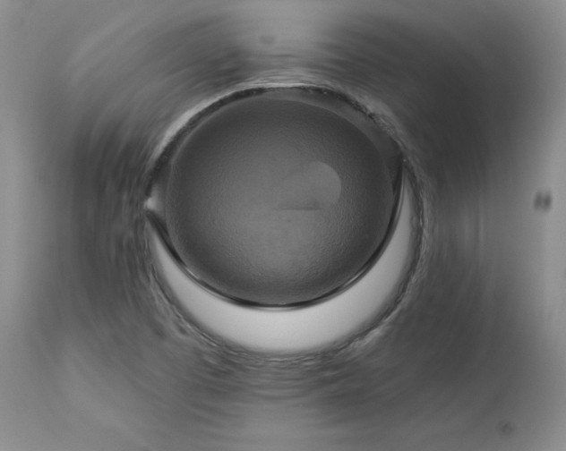 X0000113051457200908271518