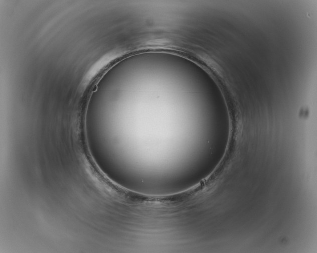 X0000113051458200908271518