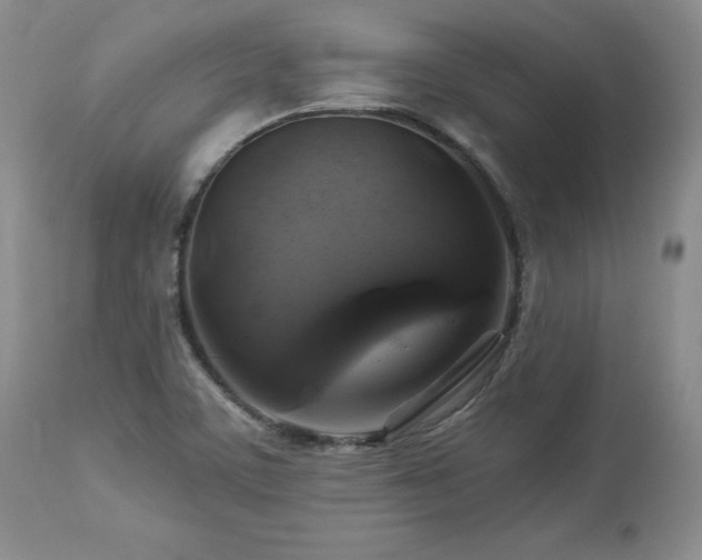 X0000113051459200908271518