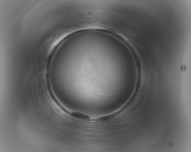X0000113051460200908271518