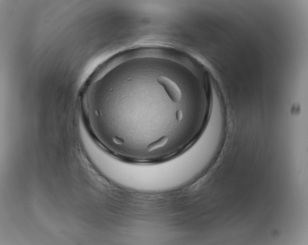 X0000113051461200908271518