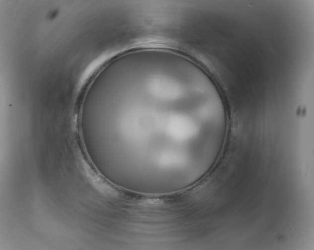 X0000113051462200908271518