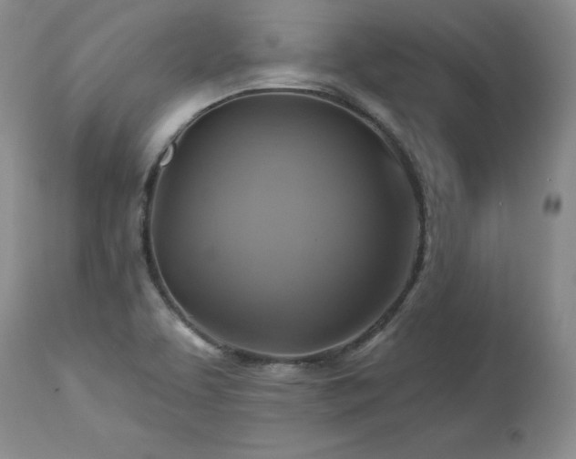 X0000113051463200908271518