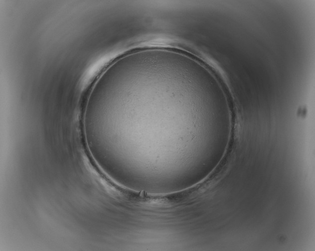 X0000113051464200908271518