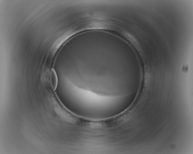 X0000113051465200908271518