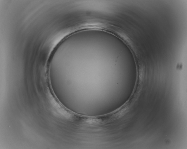 X0000113051466200908271518