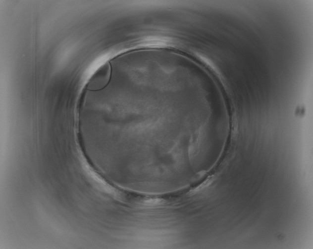 X0000113051467200908271518
