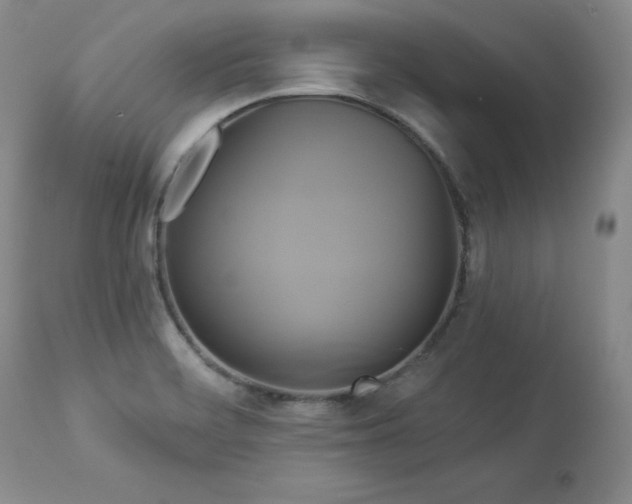 X0000113051468200908271518