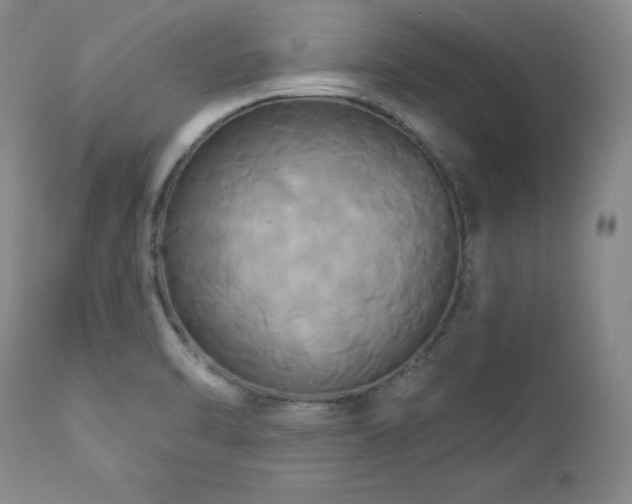 X0000113051470200908271518