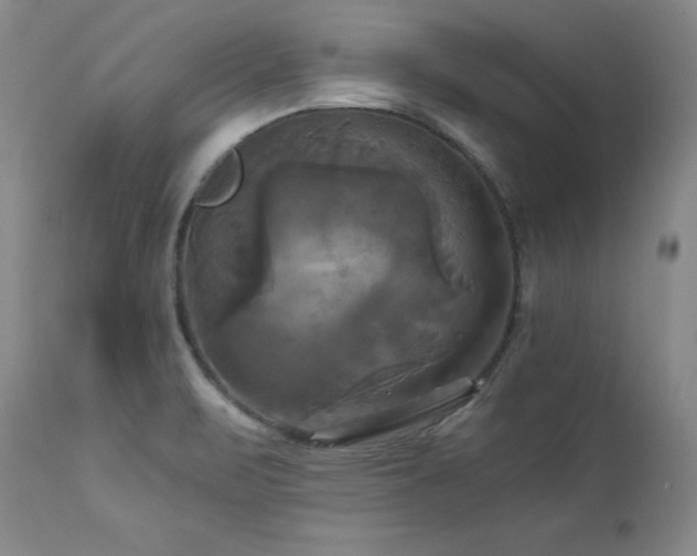 X0000113051471200908271518