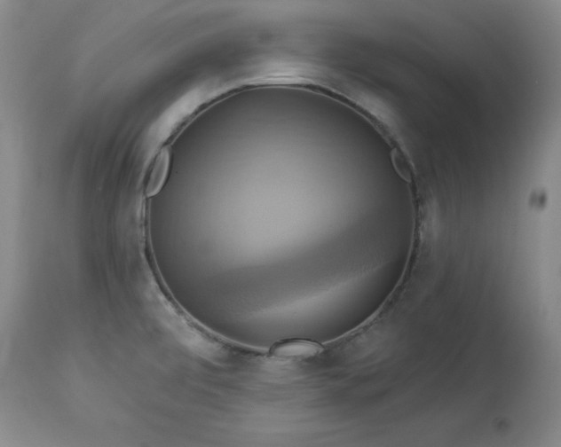 X0000113051472200908271518