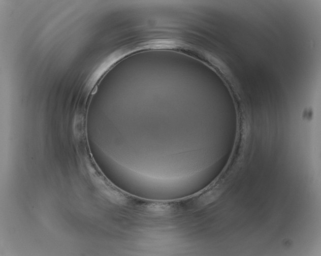 X0000113051473200908271518