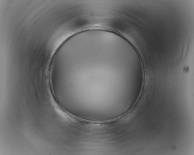 X0000113051474200908271518