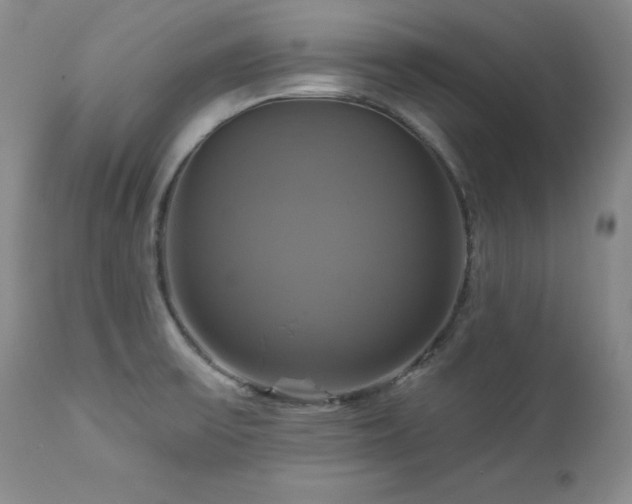X0000113051475200908271518