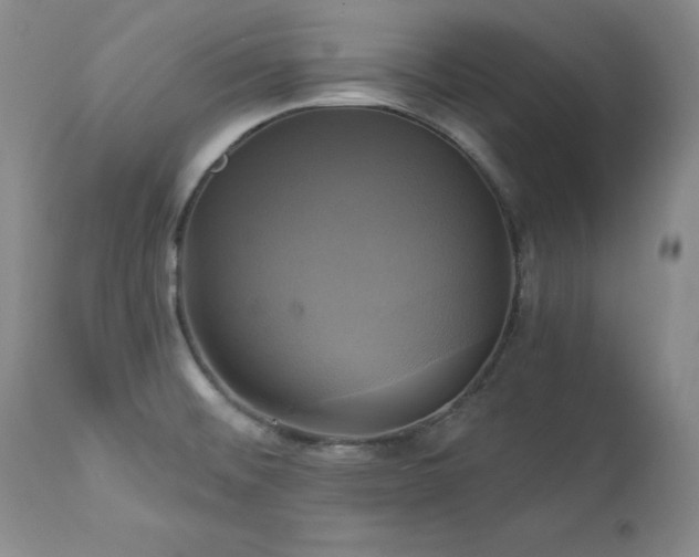 X0000113051476200908271518
