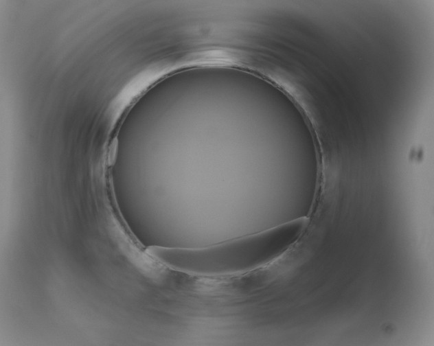 X0000113051477200908271518