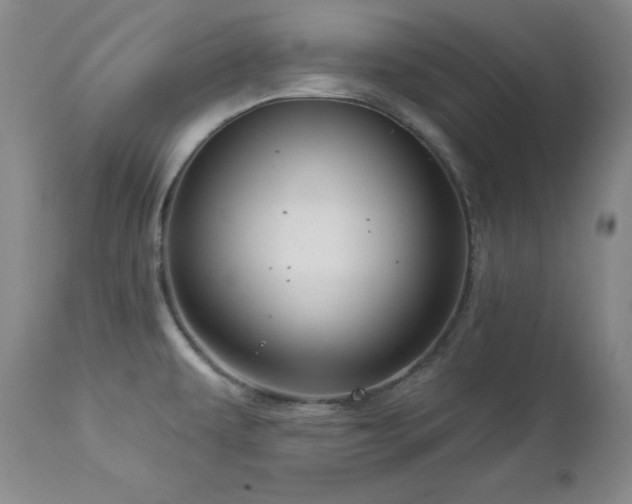 X0000113051479200908271518