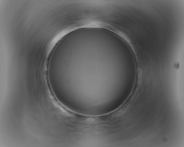 X0000113051480200908271518