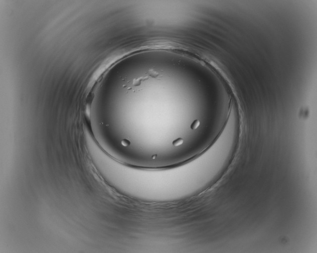 X0000113051481200908271518