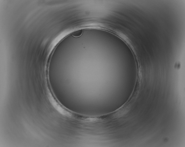 X0000113051482200908271518