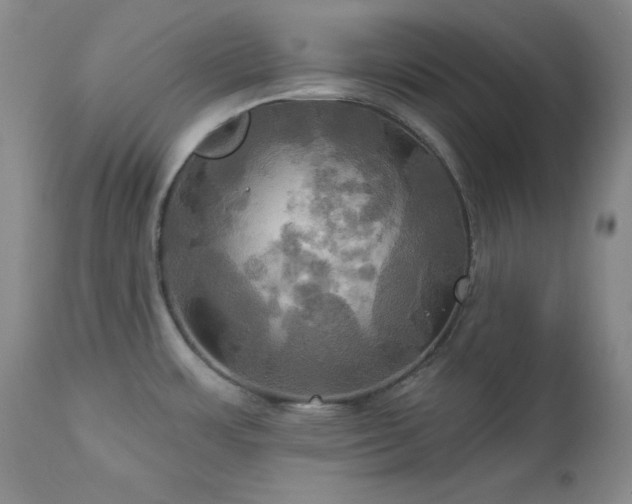 X0000113051483200908271518
