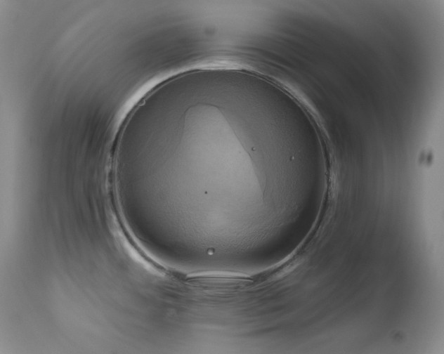 X0000113051484200908271518