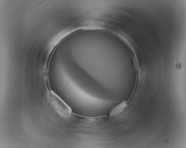 X0000113051485200908271518