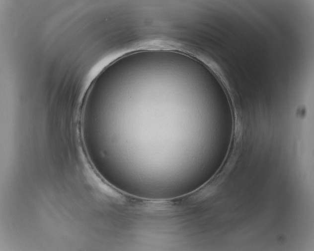 X0000113051486200908271518