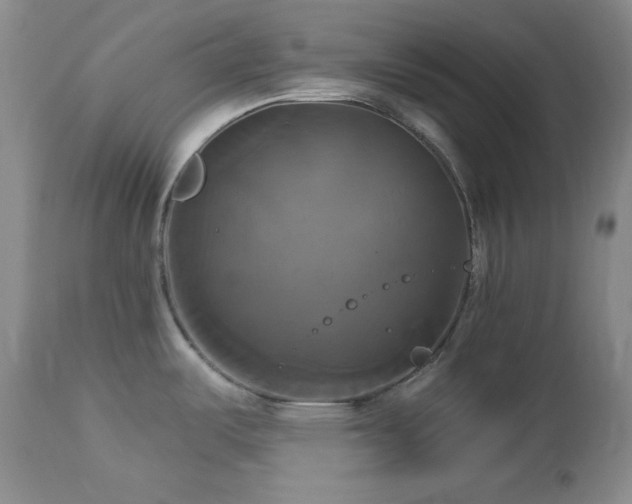 X0000113051487200908271518