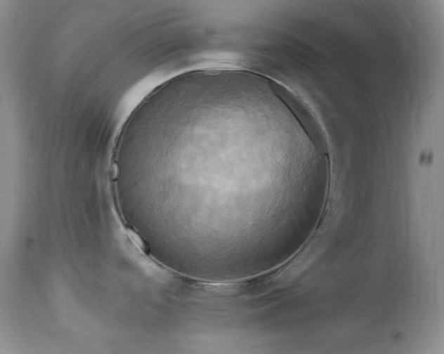 X0000113051488200908271518