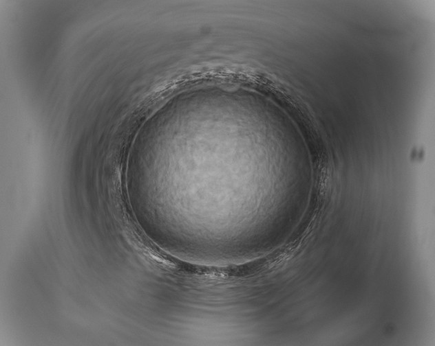 X0000113051489200908271517