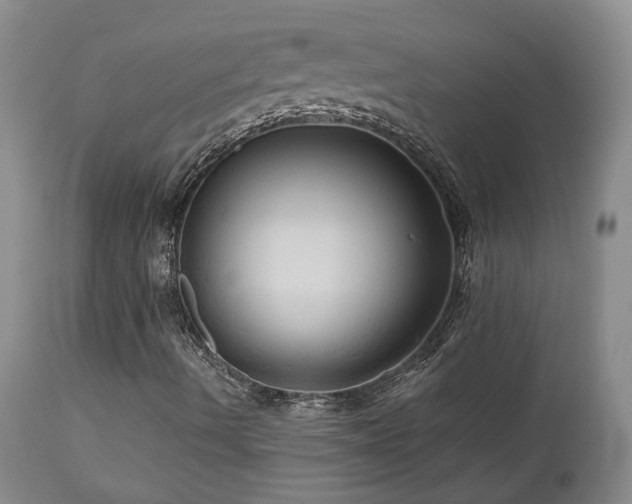 X0000113051490200908271517