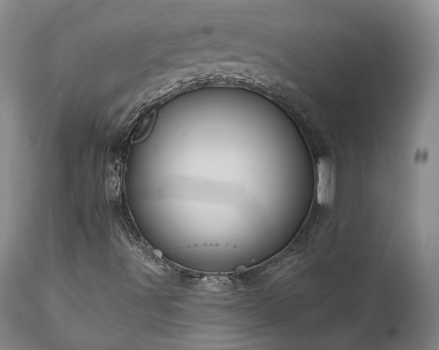 X0000113051491200908271517