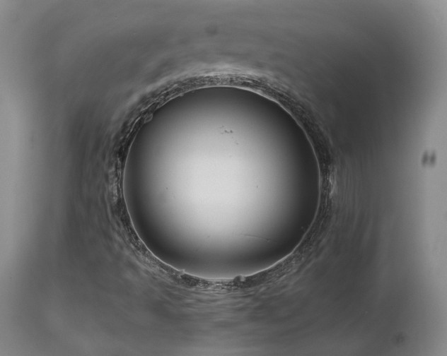 X0000113051493200908271517