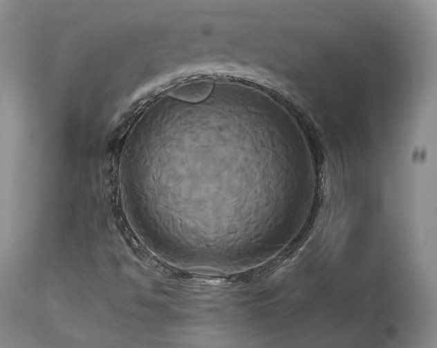 X0000113051494200908271517