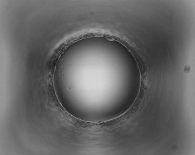 X0000113051495200908271517