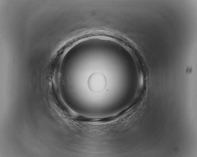 X0000113051496200908271517