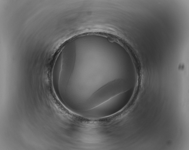 X0000113051497200908271517