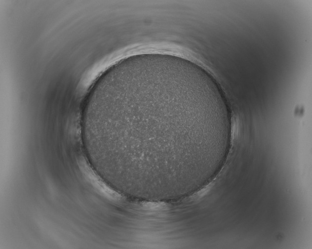 X0000113051498200908271517