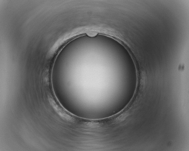 X0000113051499200908271517