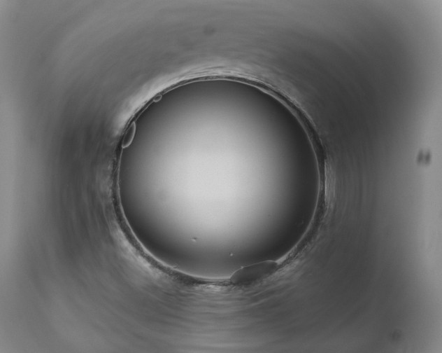 X0000113051500200908271517
