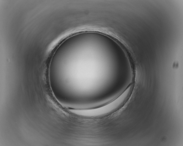 X0000113051502200908271517