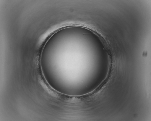 X0000113051503200908271517