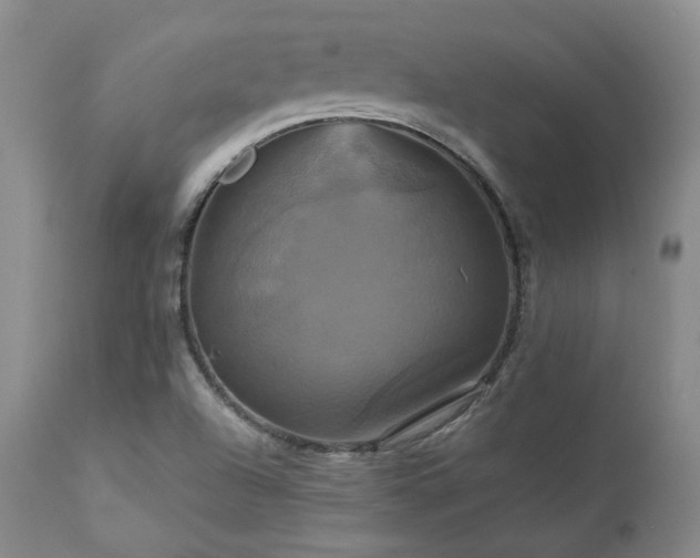 X0000113051504200908271517