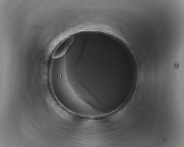 X0000113051506200908271517