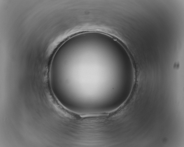 X0000113051507200908271517
