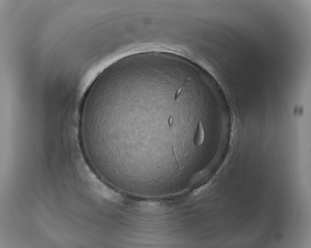 X0000113051508200908271517