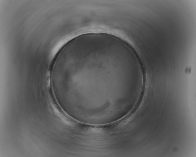 X0000113051509200908271517