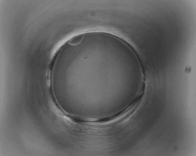 X0000113051510200908271517