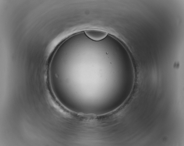 X0000113051511200908271517
